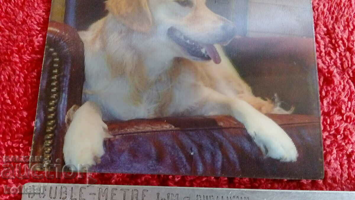 Аукцион Сувенир Магнит за хладилник Куче 3D Аукцион Сувенир Магнит за хладилник Куче 3D