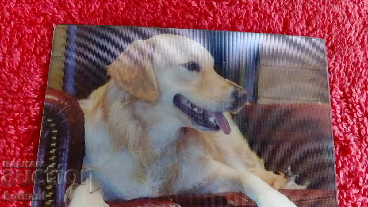 Доставка на Сувенир Магнит за хладилник Куче 3D Доставка на Сувенир Магнит за хладилник Куче 3D