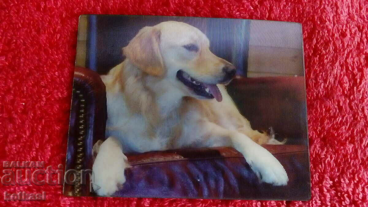 Сувенир Магнит за хладилник Куче 3D - 5 Сувенир Магнит за хладилник Куче 3D - 5