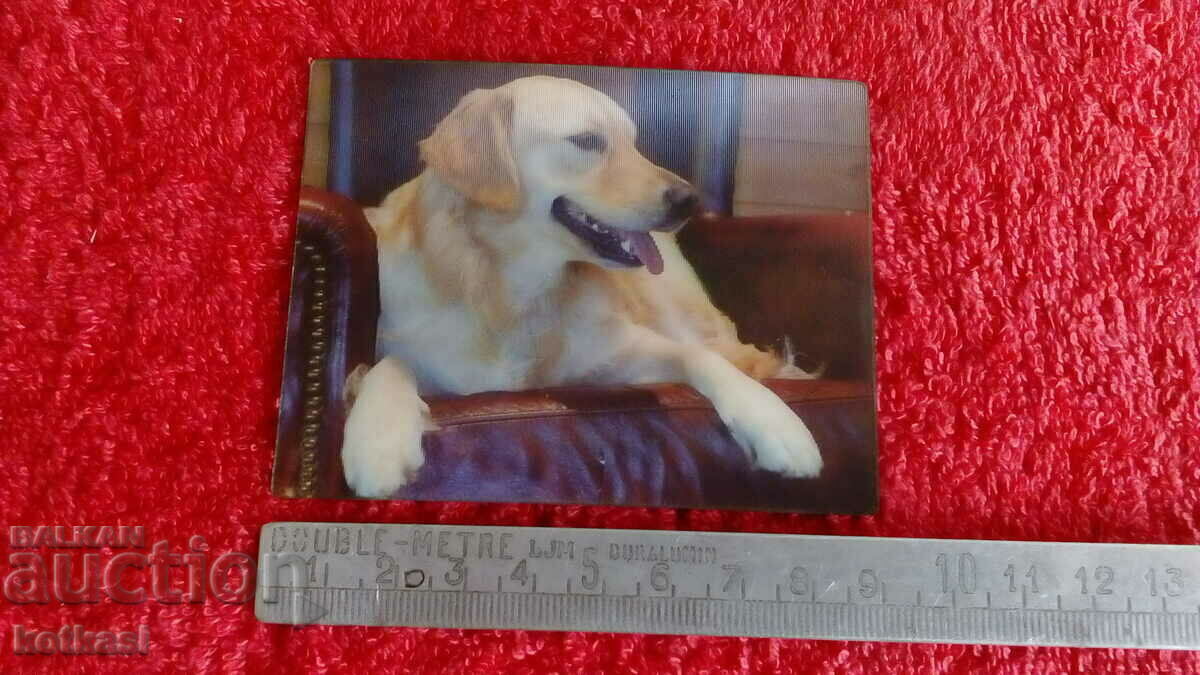 Сувенир Магнит за хладилник Куче 3D Сувенир Магнит за хладилник Куче 3D