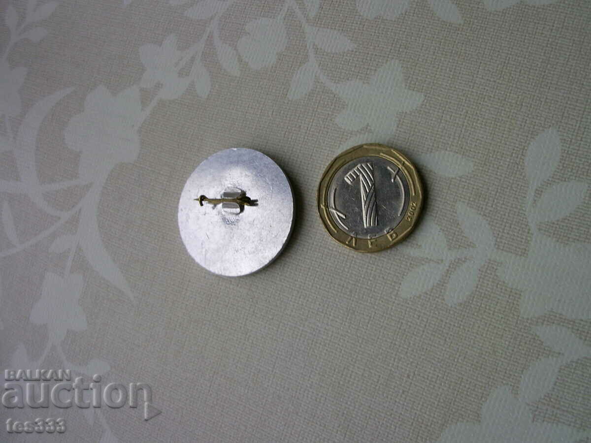 Livrarea Insigna Palatul Național al Copiilor