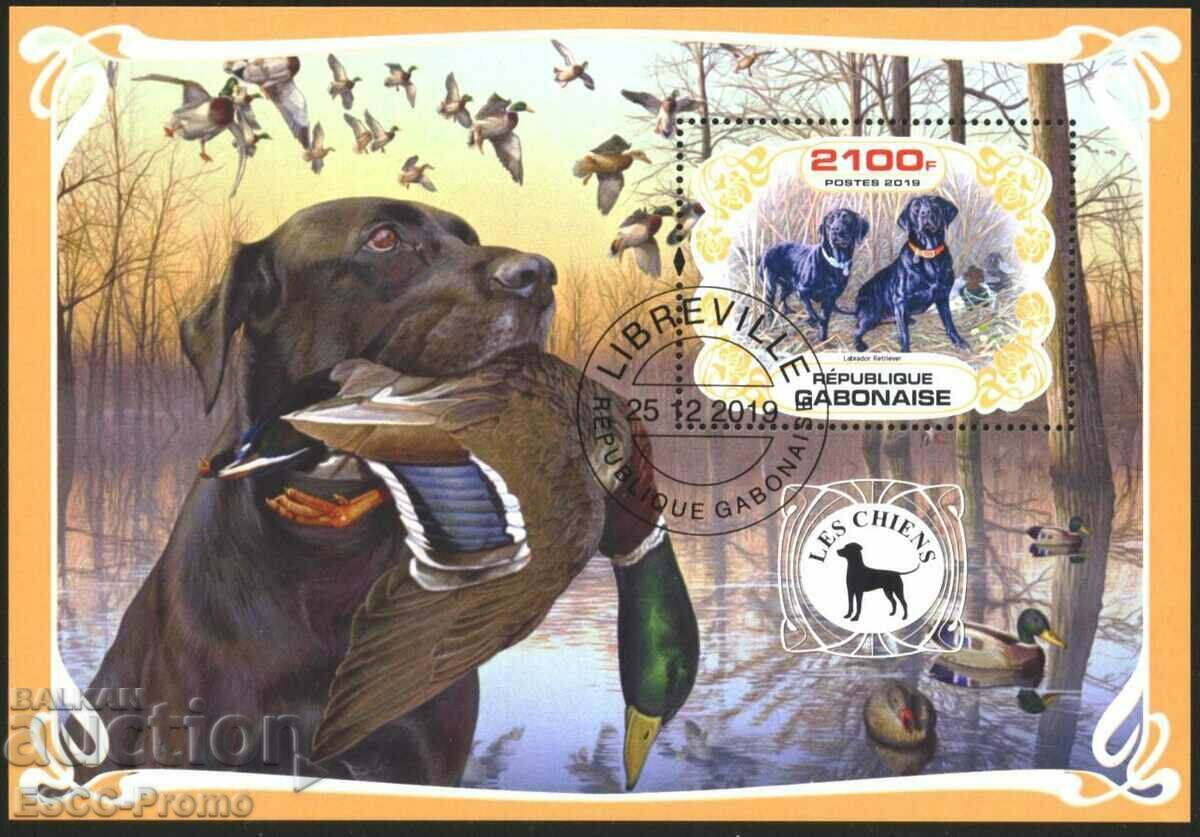 Branded block Fauna Dogs 2019 from Gabon