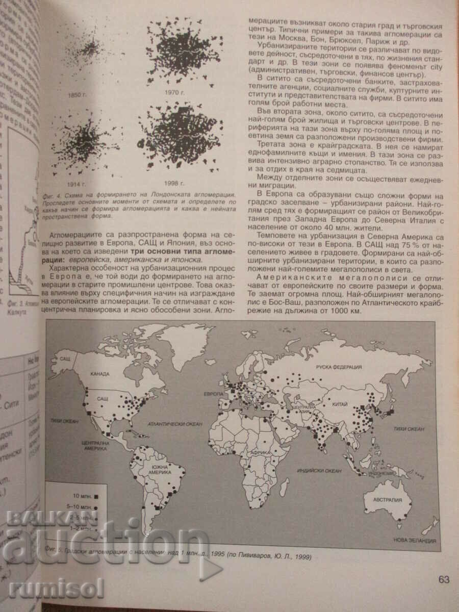 Auction  Geography and Economics - Grade 11 - Profiler. prepared