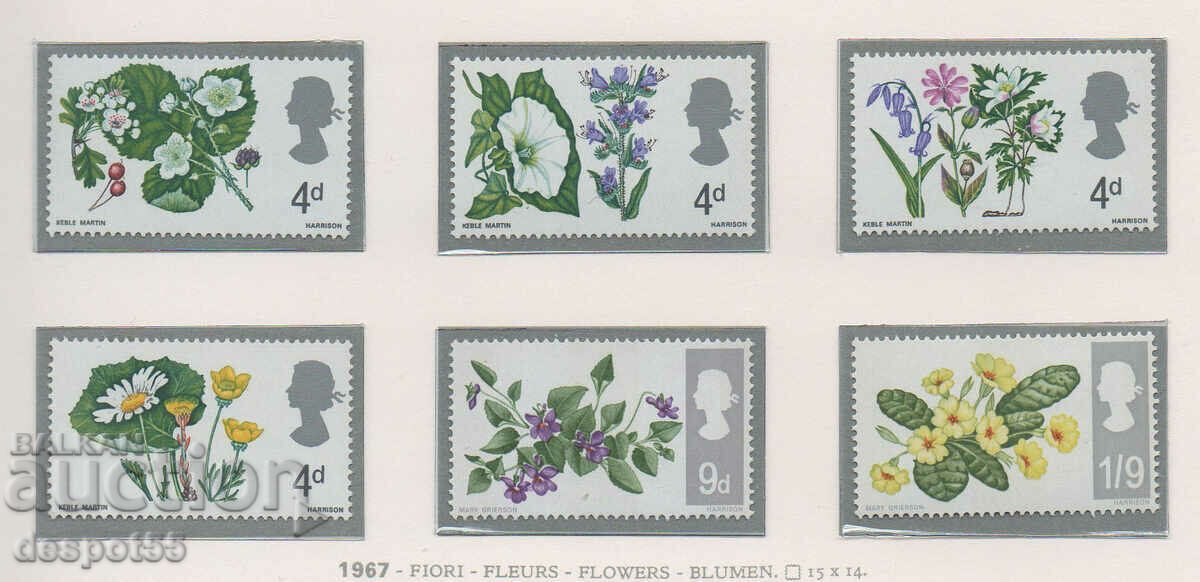 1967. Marea Britanie. Flori.
