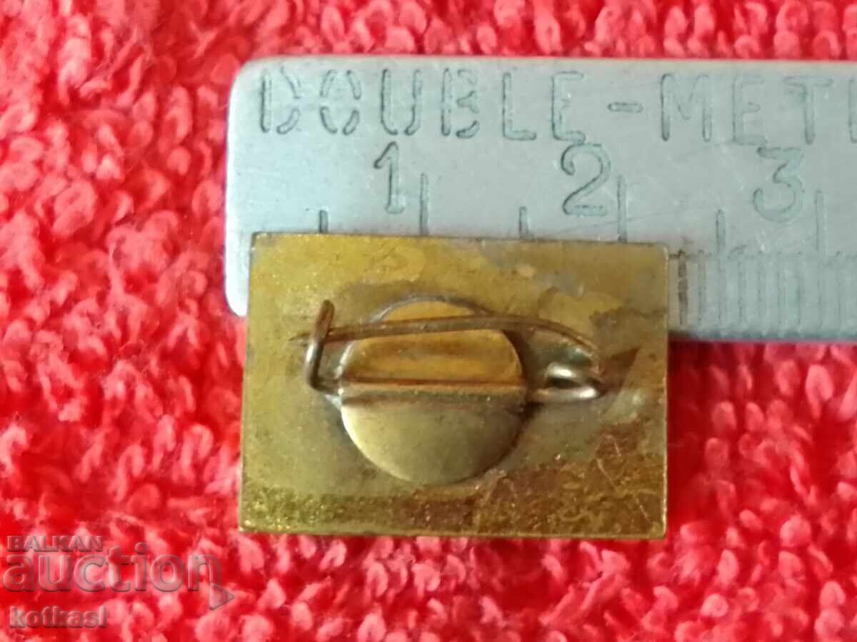 Old social badge Badge bronze enamel Esperanto 1907-1967 VEA with price 15.50 BGN | € 7.93 Old social badge Badge bronze enamel Esperanto 1907-1967 VEA with price 15.50 BGN | € 7.93