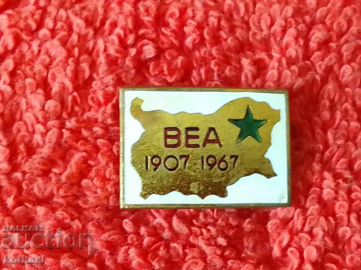 Auction Old social badge Badge bronze enamel Esperanto 1907-1967 VEA Auction Old social badge Badge bronze enamel Esperanto 1907-1967 VEA