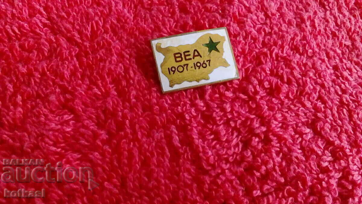 Delivery of Old social badge Badge bronze enamel Esperanto 1907-1967 VEA Delivery of Old social badge Badge bronze enamel Esperanto 1907-1967 VEA