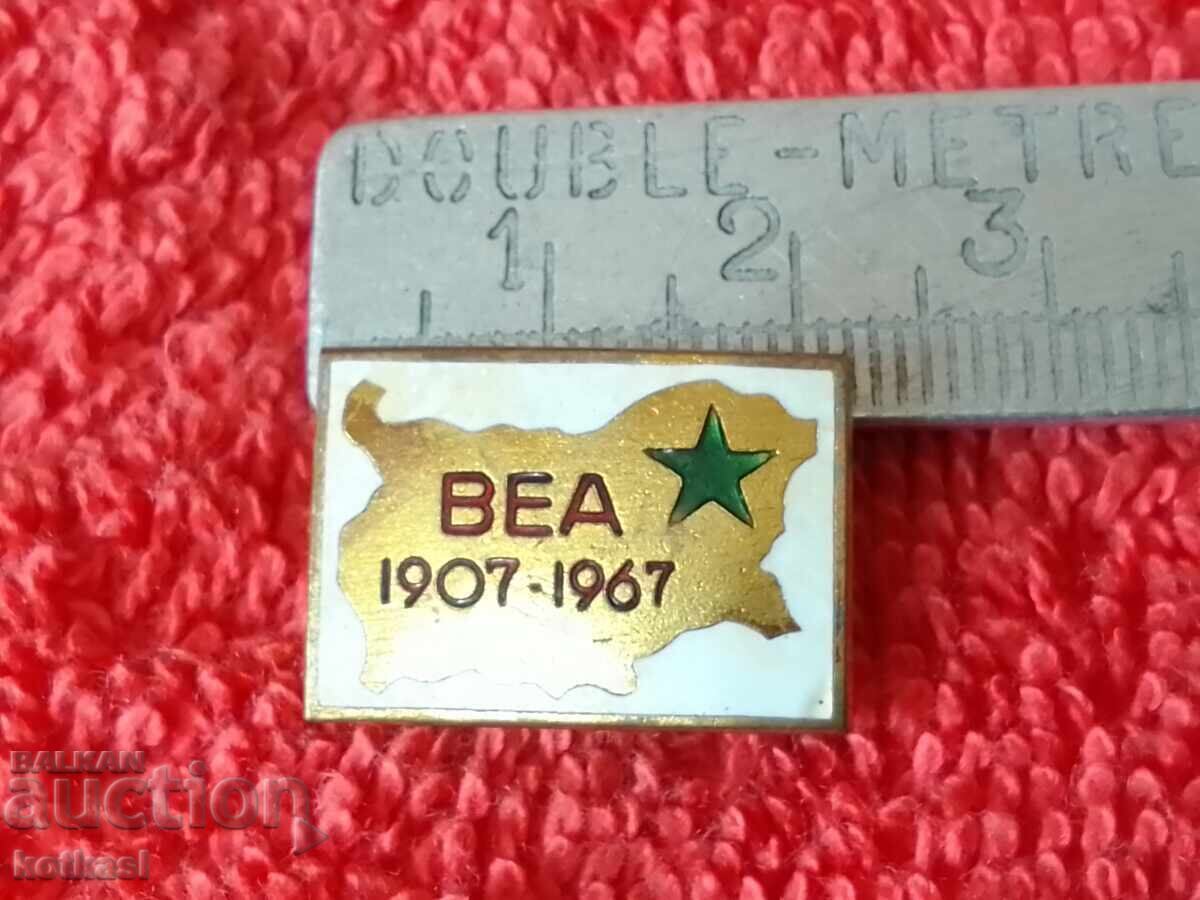 Old social badge Badge bronze enamel Esperanto 1907-1967 VEA Old social badge Badge bronze enamel Esperanto 1907-1967 VEA