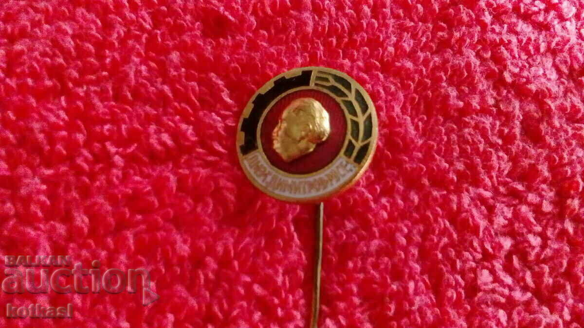 Auction  Old social badge Badge bronze needle enamel DMZ G. Dimitrov Ruse
