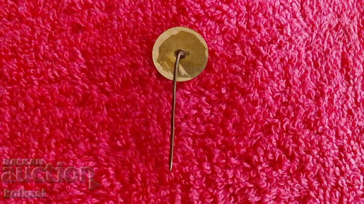 Delivery of Old social badge Badge bronze needle enamel DMZ G. Dimitrov Ruse