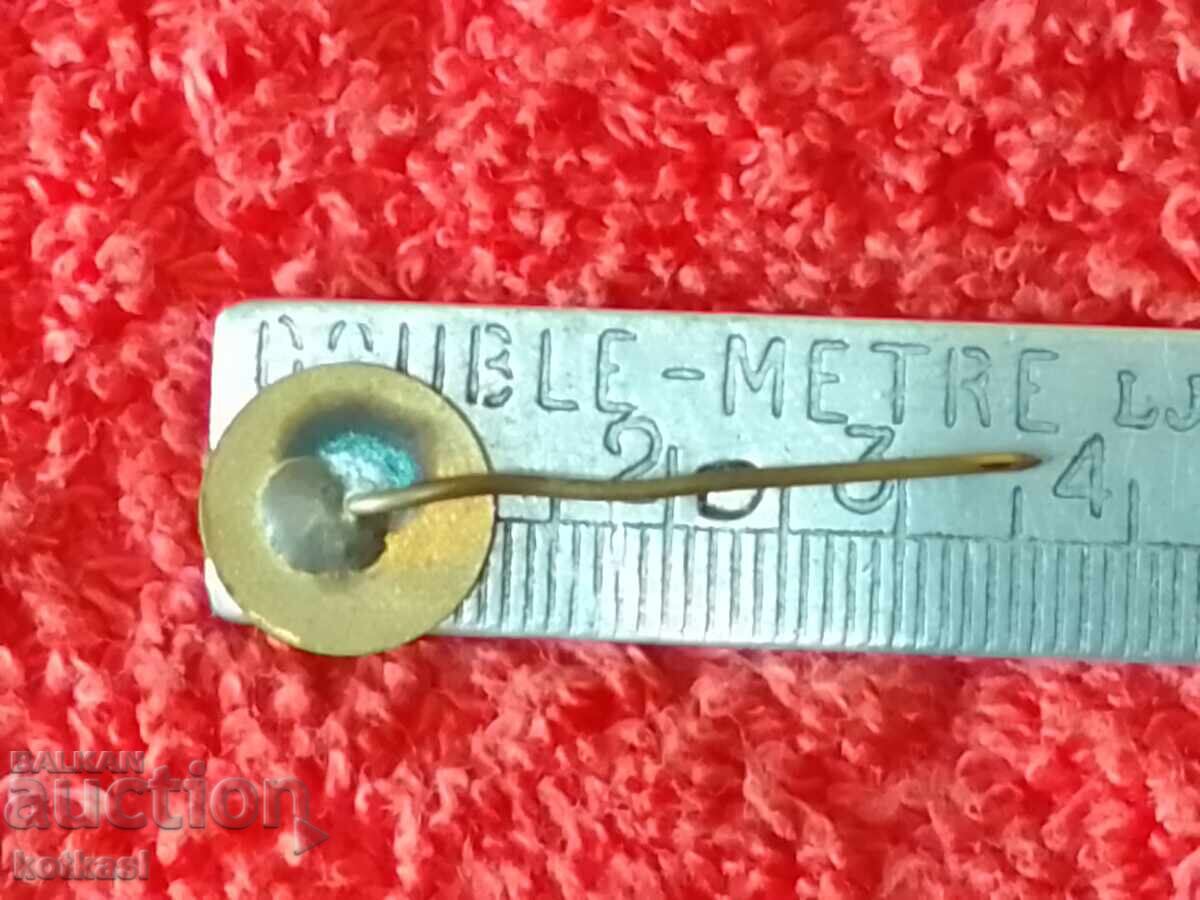 Old social sign Badge bronze needle enamel Botevgrad with price 3.50 BGN | € 1.79 Old social sign Badge bronze needle enamel Botevgrad with price 3.50 BGN | € 1.79