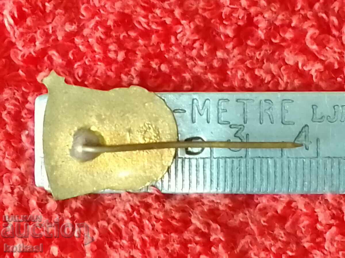 Old Soc Badge Badge Bronze Needle Enamel TRP Excellent with price 10.50 BGN | € 5.37 Old Soc Badge Badge Bronze Needle Enamel TRP Excellent with price 10.50 BGN | € 5.37