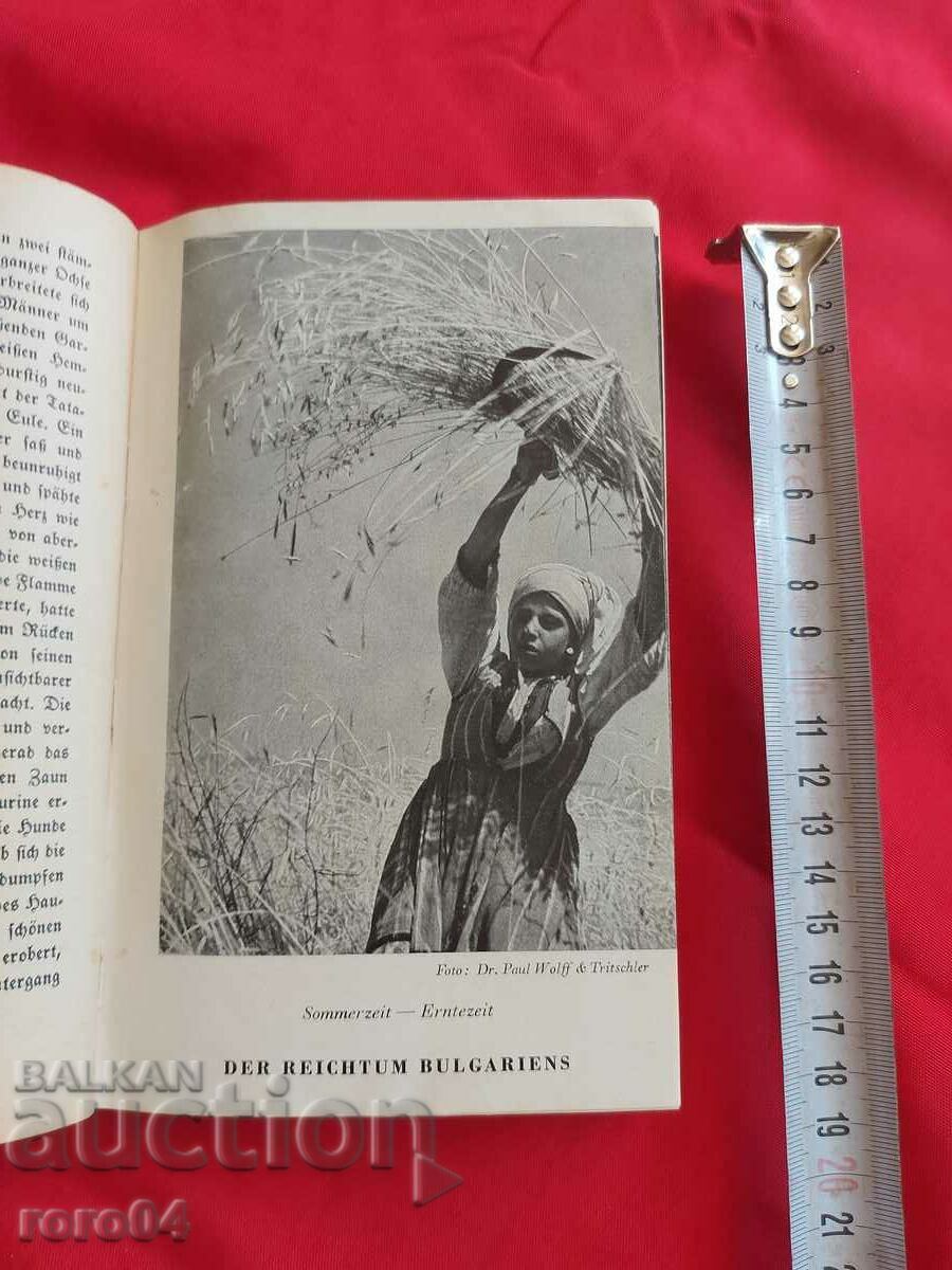 Auction Bulgaria's counterpart Auction Bulgaria's counterpart