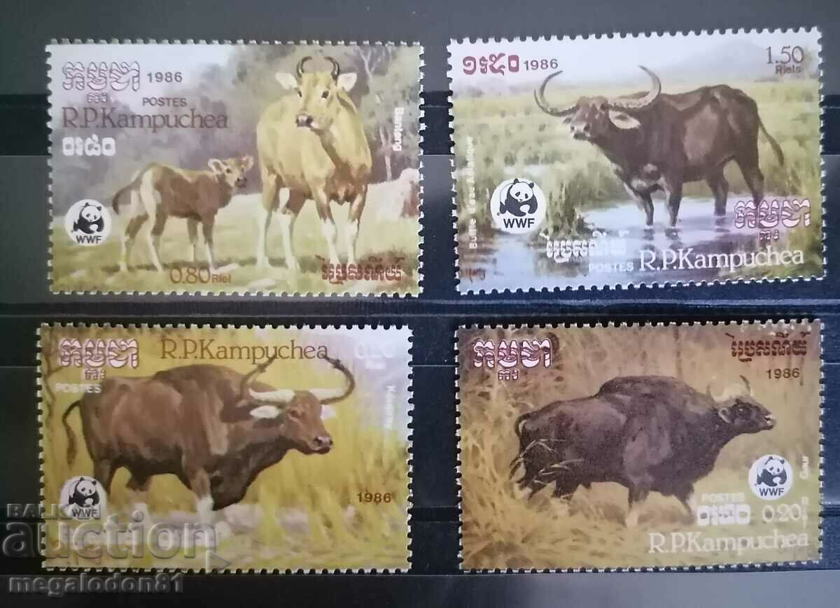 Cambodia - WWF fauna, buffalo