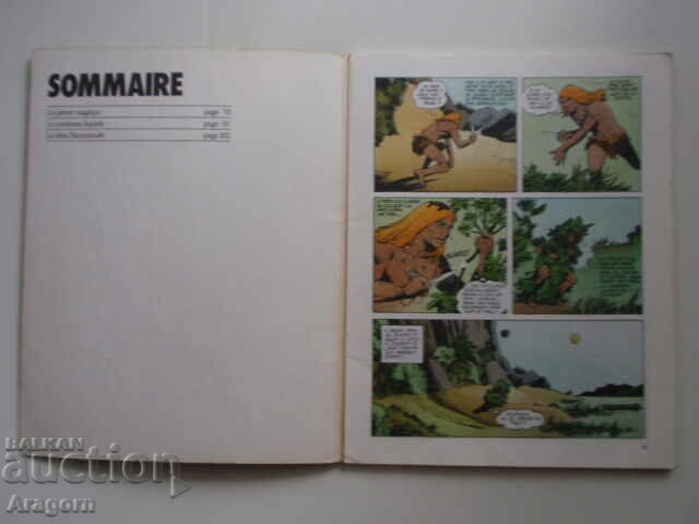 Auction "L'integrale de Rahan" 2 with a small absence - March 1984, Rahan Auction "L'integrale de Rahan" 2 with a small absence - March 1984, Rahan