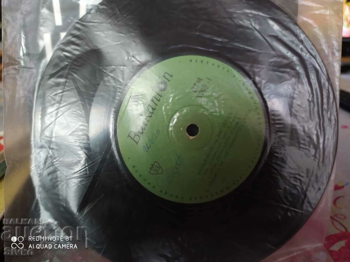 Auction  Gramophone record J. Welge - S. Please read the description!