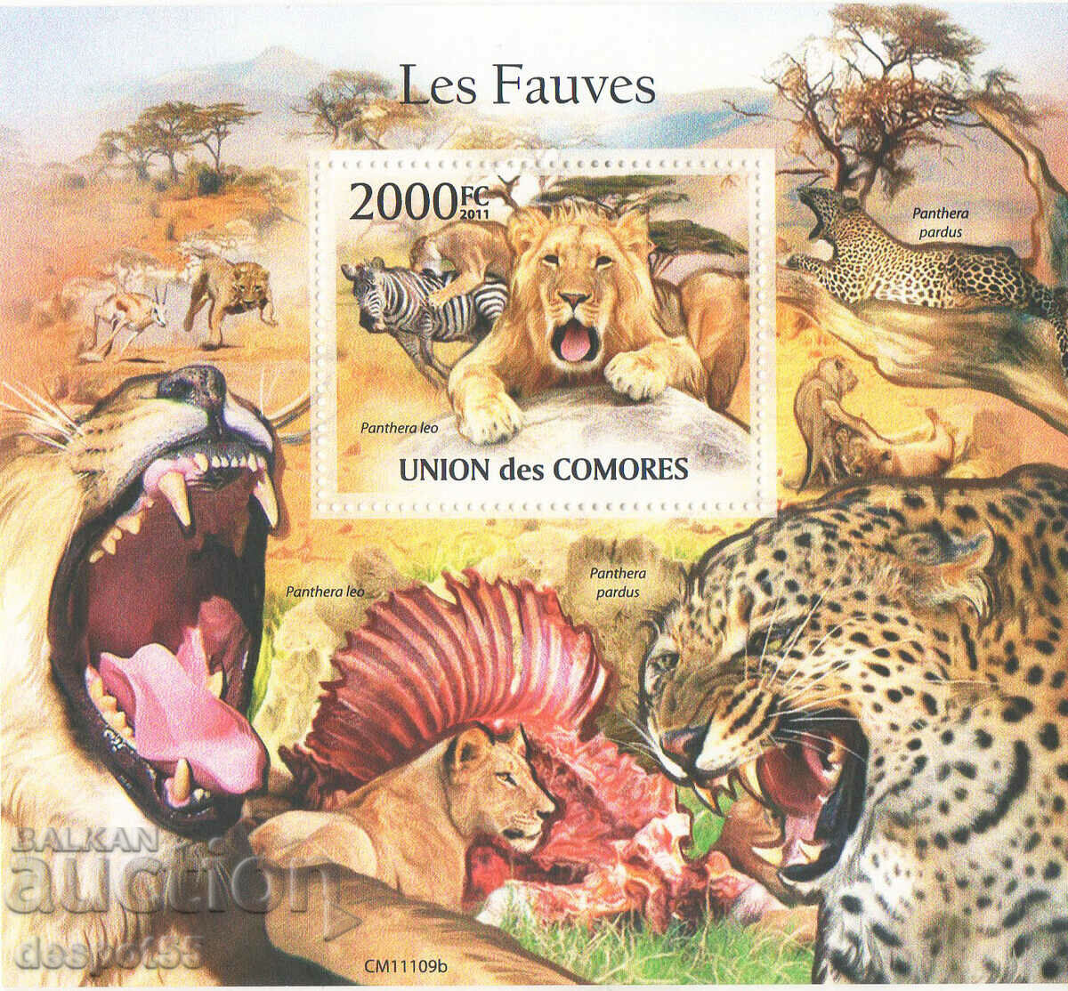 2011. Comoros. Mammals - Big cats. Block.