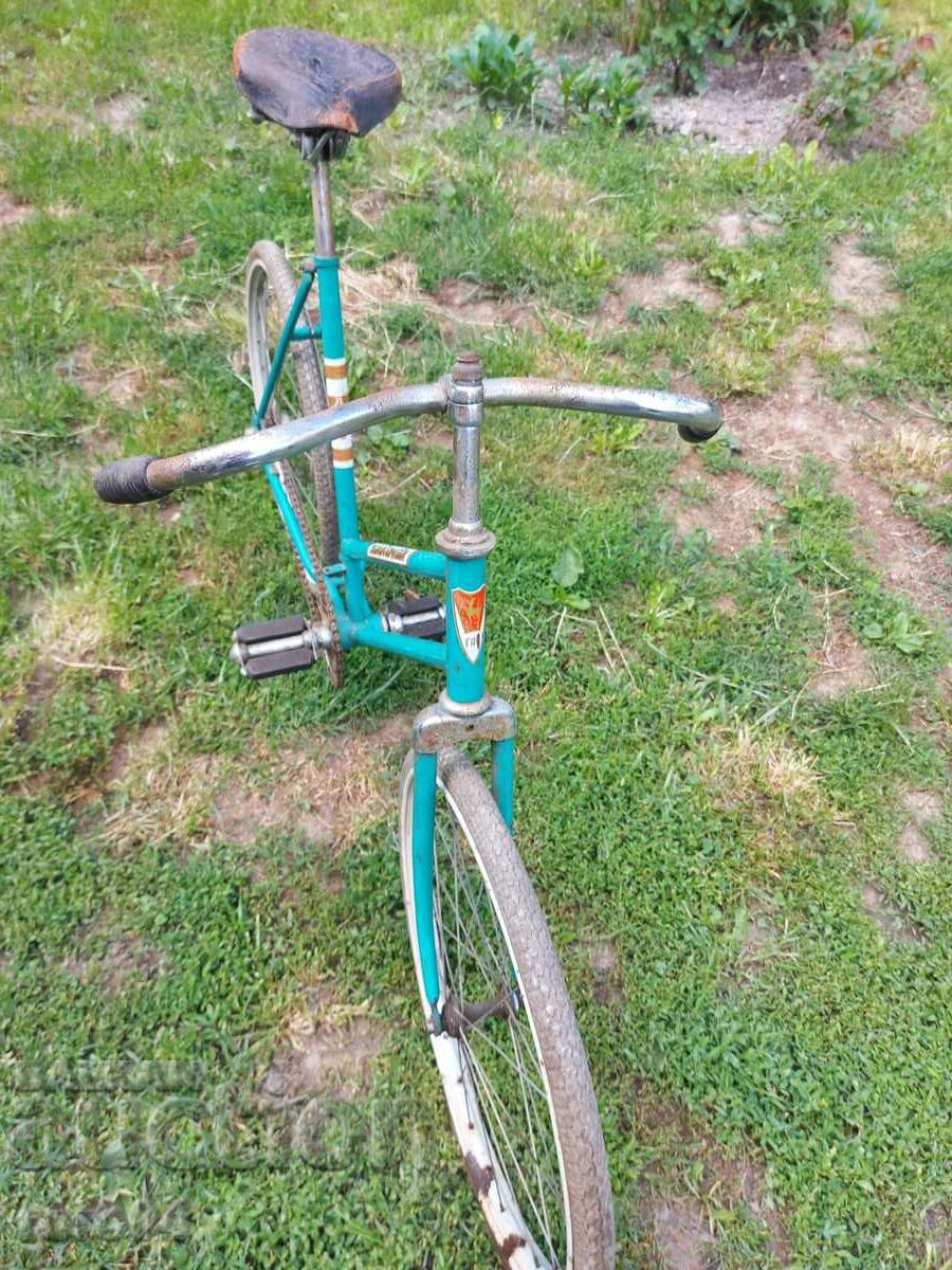 Auction GAS - SCHOOLCHILD Auction GAS - SCHOOLCHILD