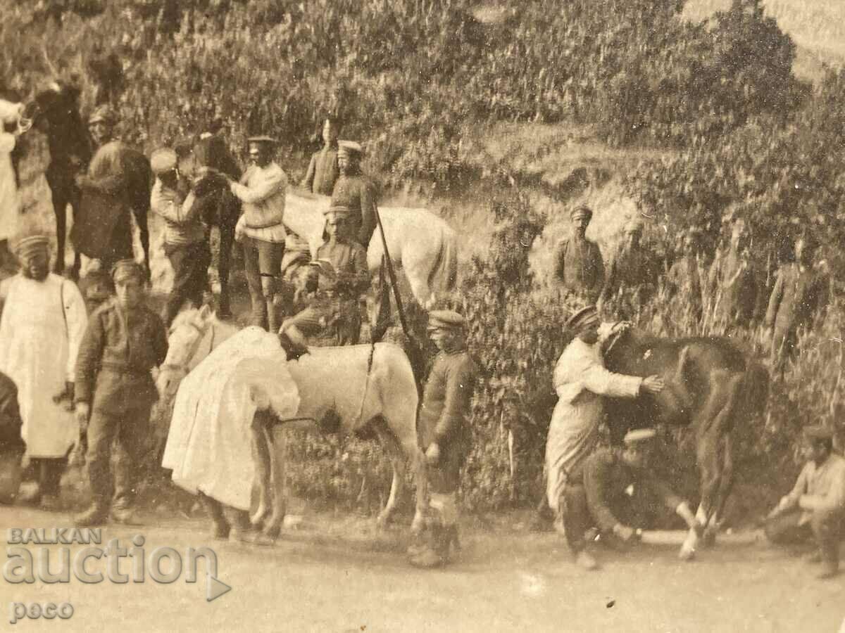Auction Veterinary course Front 1917 Konsko Major Mitkovski Auction Veterinary course Front 1917 Konsko Major Mitkovski
