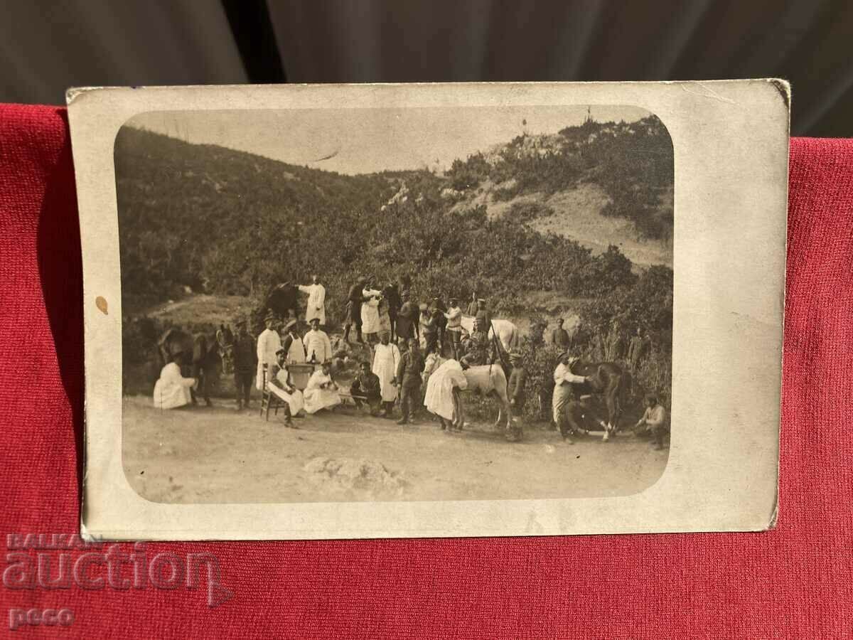 Veterinary course Front 1917 Konsko Major Mitkovski - 5 Veterinary course Front 1917 Konsko Major Mitkovski - 5