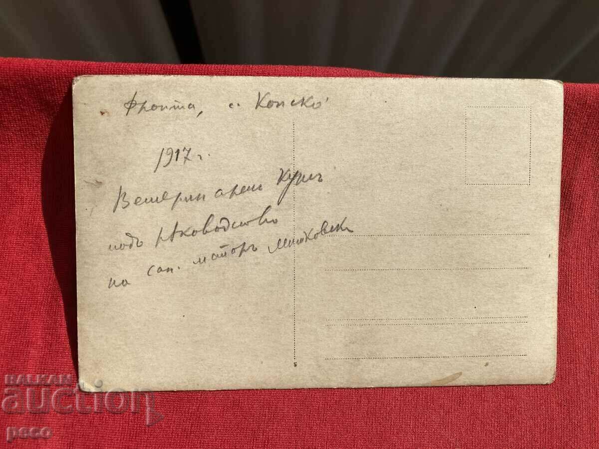 Veterinary course Front 1917 Konsko Major Mitkovski - 6 Veterinary course Front 1917 Konsko Major Mitkovski - 6
