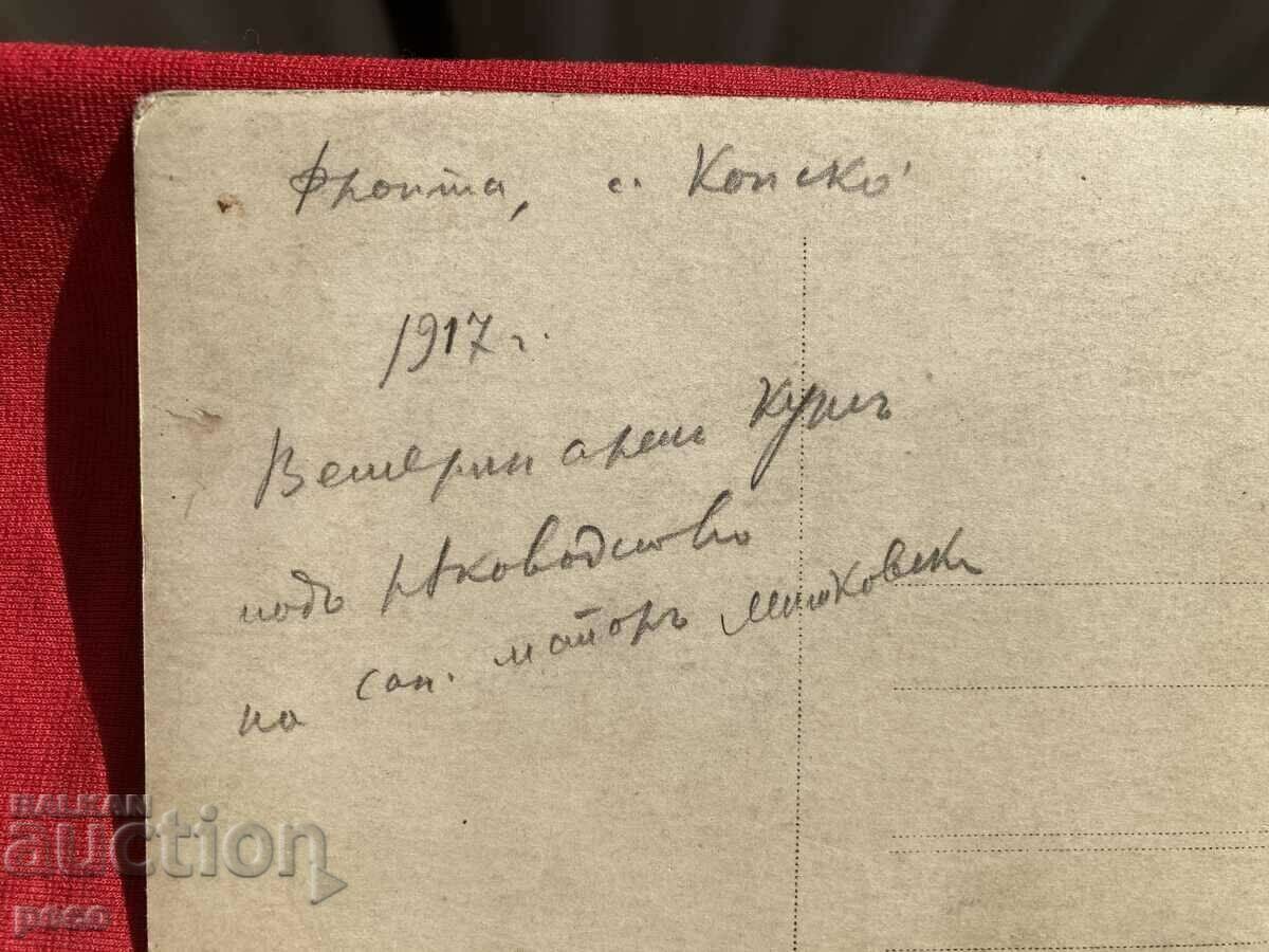 Veterinary course Front 1917 Konsko Major Mitkovski - 7 Veterinary course Front 1917 Konsko Major Mitkovski - 7