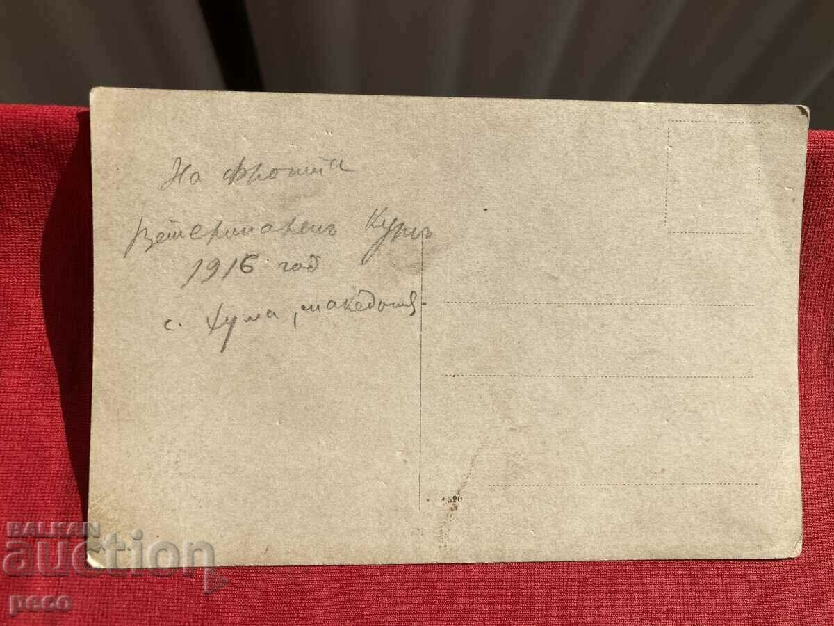 Veterinary course Front Huma village Macedonia 1916 - 6 Veterinary course Front Huma village Macedonia 1916 - 6