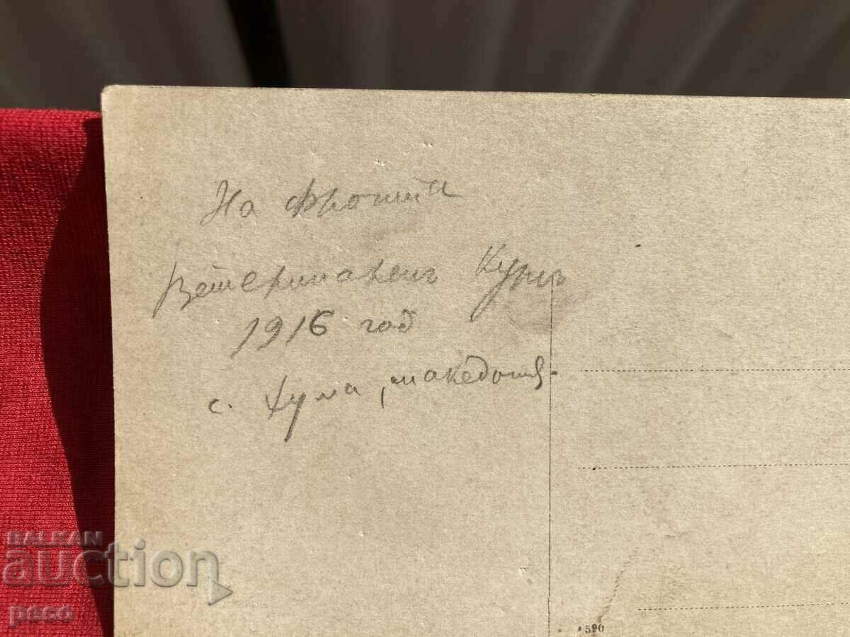 Veterinary course Front Huma village Macedonia 1916 - 7 Veterinary course Front Huma village Macedonia 1916 - 7