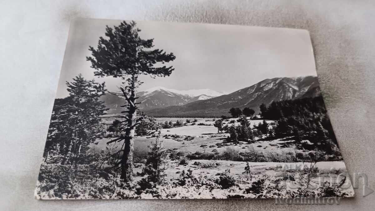 Καρτ ποστάλ Pirin View 1962