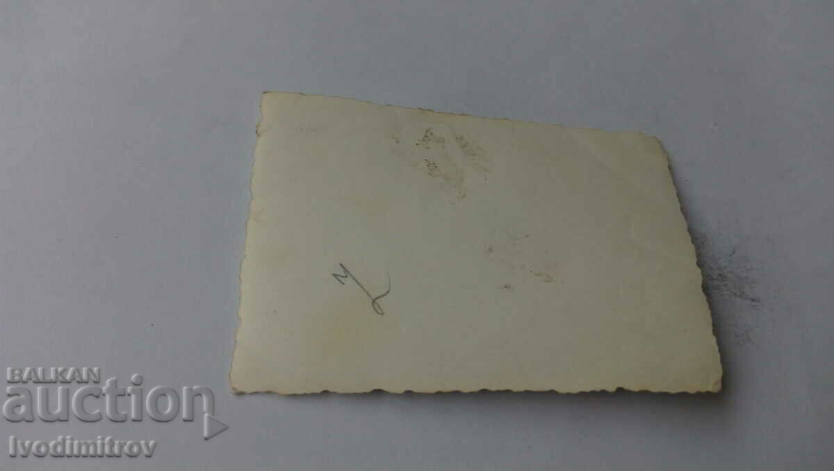 Φωτογραφία Σκυλάκι με τιμή 2.45 BGN | € 1.25 Φωτογραφία Σκυλάκι με τιμή 2.45 BGN | € 1.25