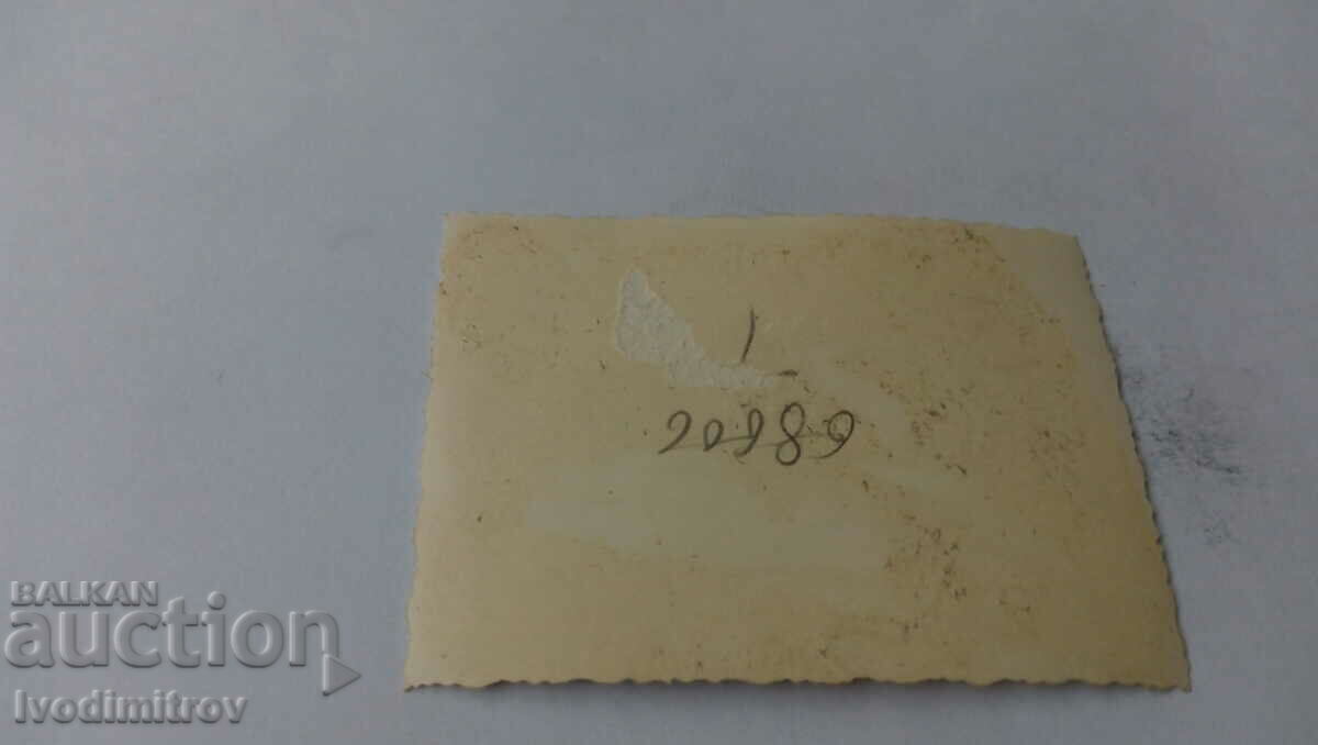 Φωτογραφία ενός άνδρα και ενός μικρού αγοριού στο πάρκο με τιμή 1.35 BGN | € 0.69 Φωτογραφία ενός άνδρα και ενός μικρού αγοριού στο πάρκο με τιμή 1.35 BGN | € 0.69