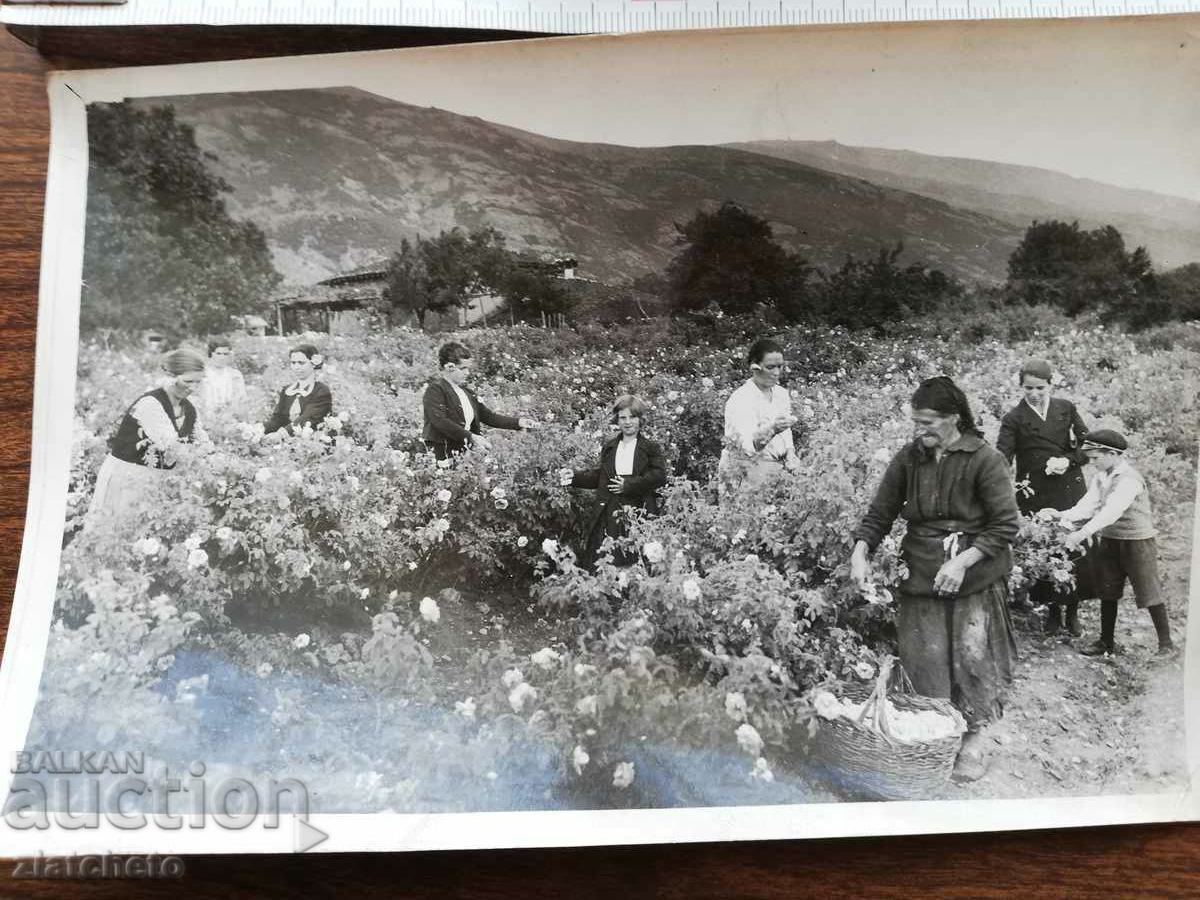 Old photo author's photo with price 20.00 BGN | € 10.23 Old photo author's photo with price 20.00 BGN | € 10.23