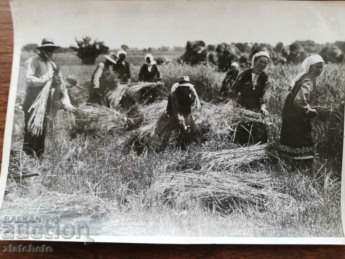 Old photo author's photo with price 20.00 BGN | € 10.23 Old photo author's photo with price 20.00 BGN | € 10.23