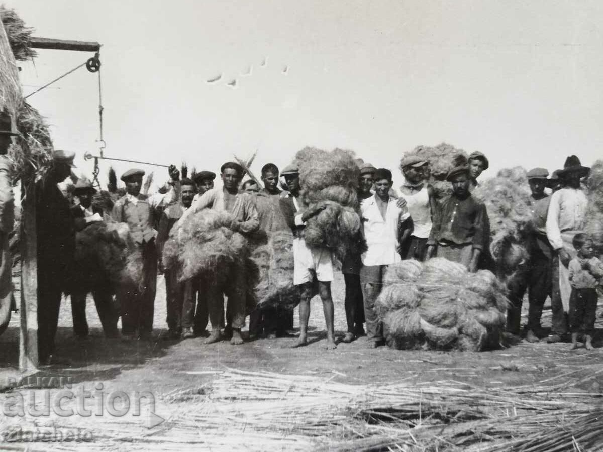 Auction  Old photo author's photo