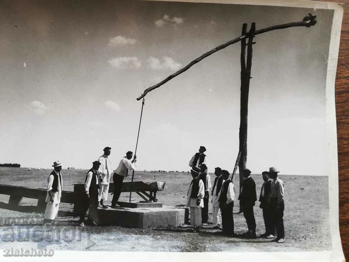 Auction  Old photo author's photo