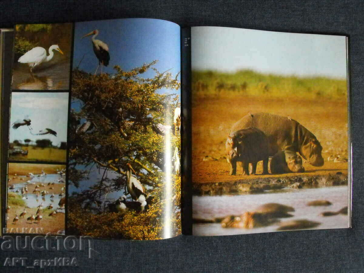 Kamerapirsch / in German /, VEB F.A. Brockhaus Verlag. with price 18.50 BGN | € 9.46 Kamerapirsch / in German /, VEB F.A. Brockhaus Verlag. with price 18.50 BGN | € 9.46