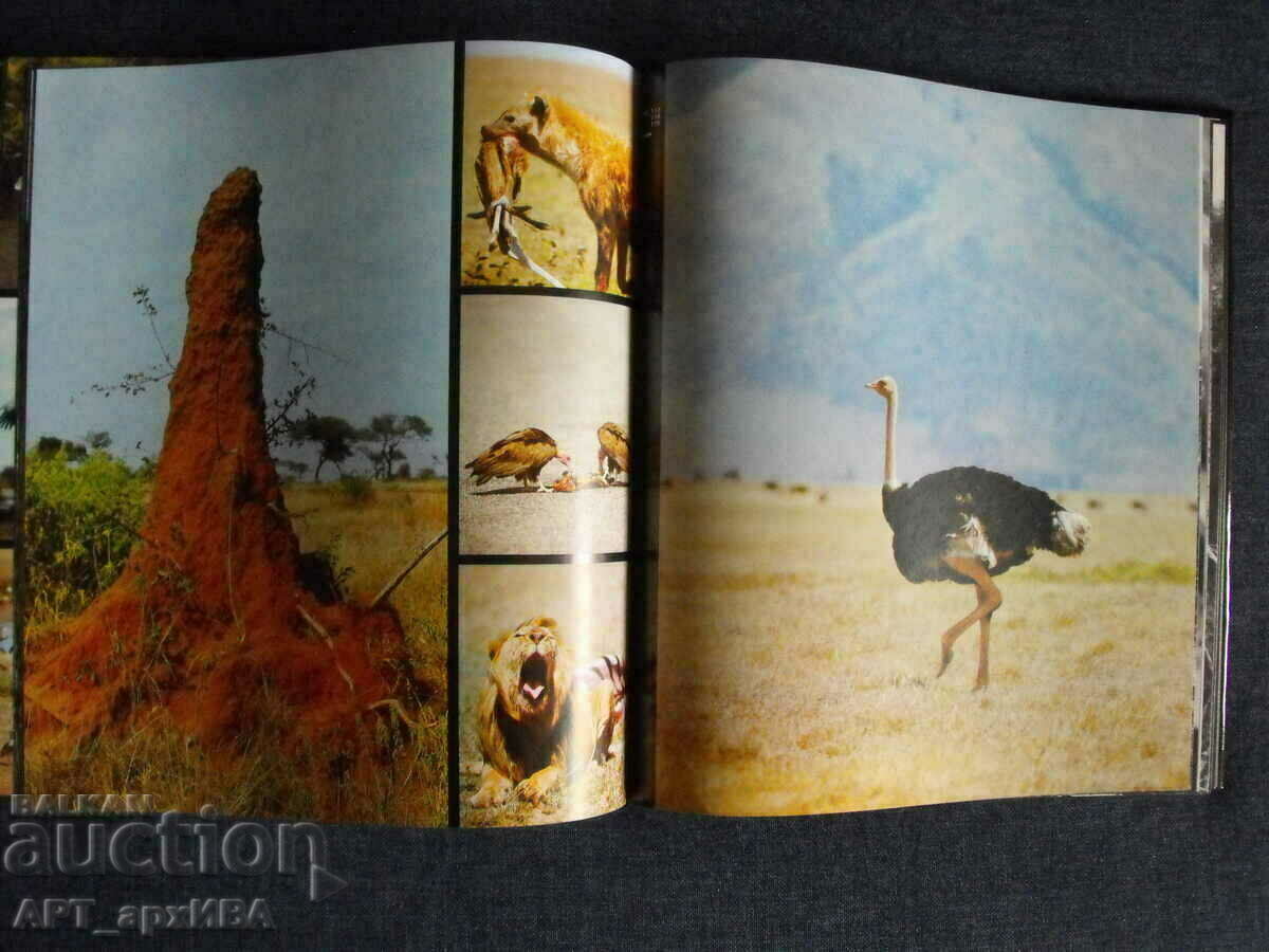 Auction Kamerapirsch / in German /, VEB F.A. Brockhaus Verlag. Auction Kamerapirsch / in German /, VEB F.A. Brockhaus Verlag.