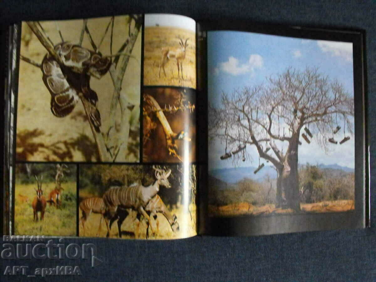 Delivery of Kamerapirsch / in German /, VEB F.A. Brockhaus Verlag. Delivery of Kamerapirsch / in German /, VEB F.A. Brockhaus Verlag.