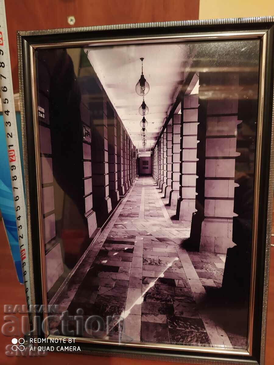 Photo from an exhibition Photo from an exhibition