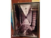 Φωτογραφία από έκθεση