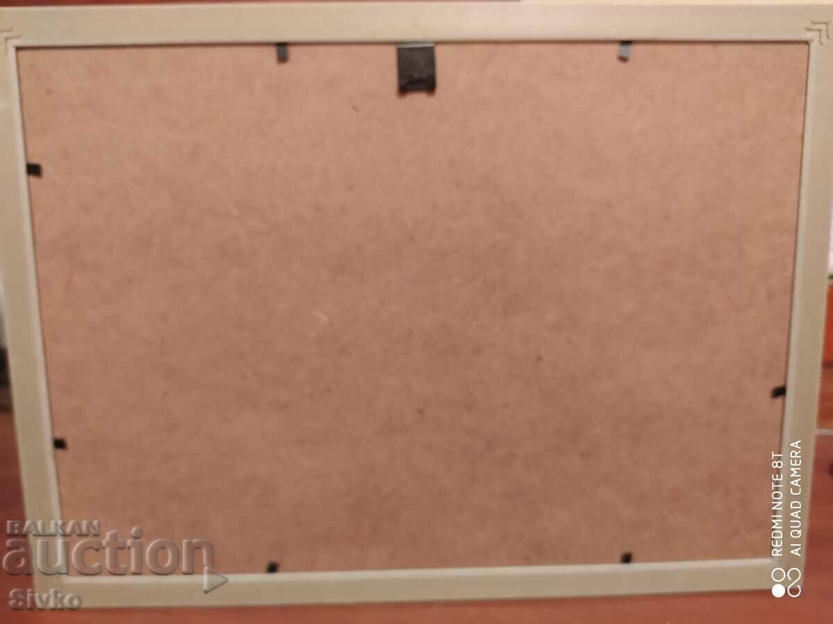 Delivery of Photograph from a rose exhibition, framed, author: Miglena Kuleva Delivery of Photograph from a rose exhibition, framed, author: Miglena Kuleva