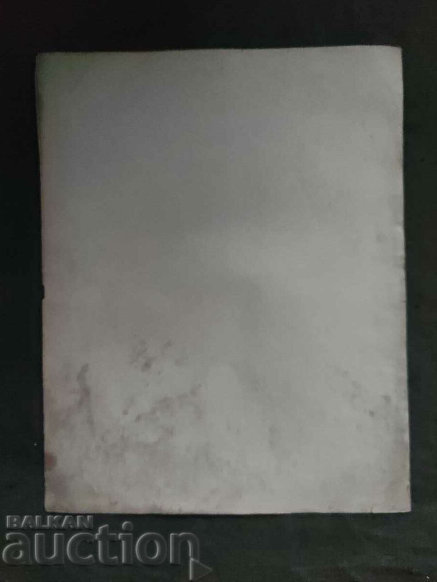 Auction Dobrudzha region. Alexander Krastev Auction Dobrudzha region. Alexander Krastev