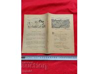 ILUMINAREA - Anul. Cartea II. VIII - 1903