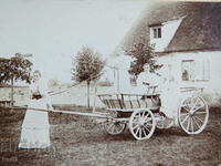 OLD PHOTO - CARDBOARD