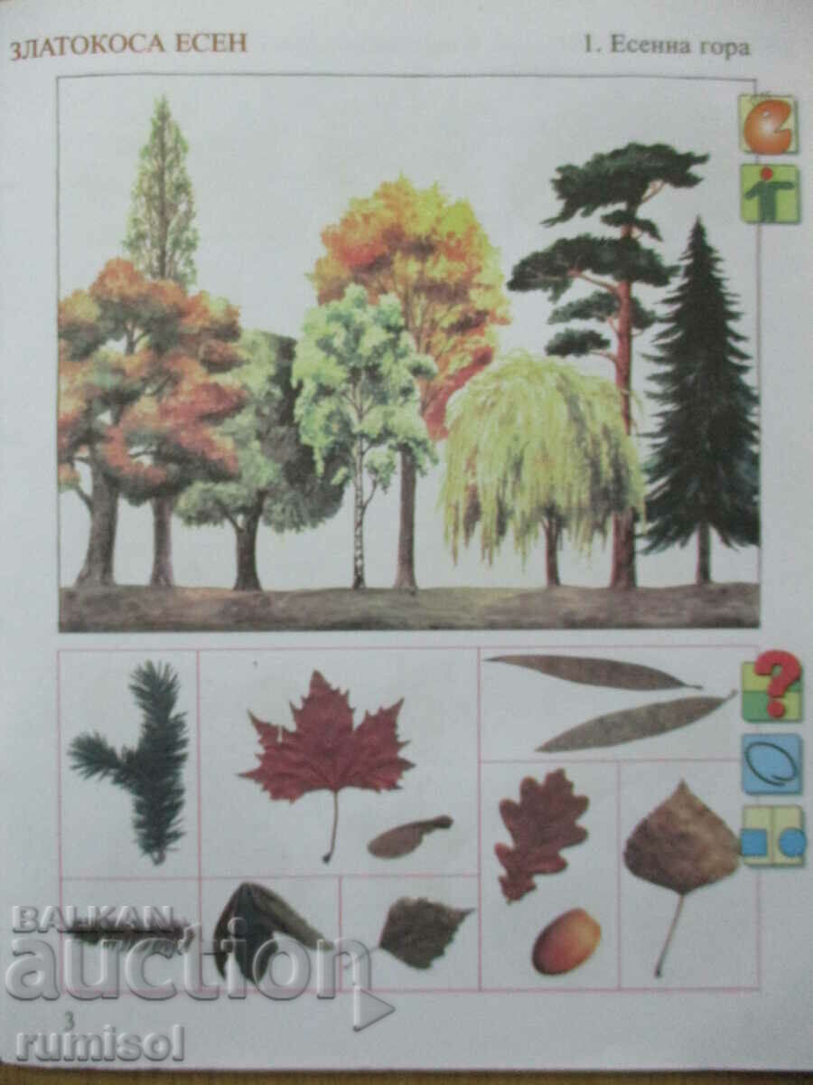 Аукцион Ръка за ръка - Слънчице, изгрей! Аукцион Ръка за ръка - Слънчице, изгрей!