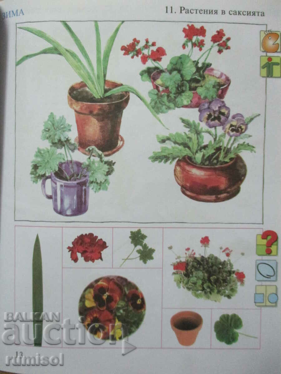 Delivery of Hand in hand - Sunshine, sunrise! Delivery of Hand in hand - Sunshine, sunrise!