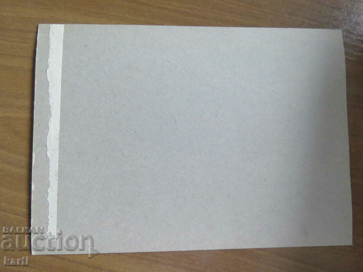 Auction  STAR PHOTOGRAPHY - CARD