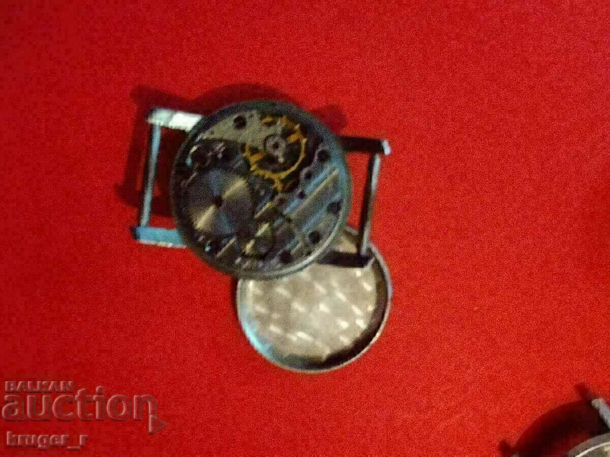 Ceas IARNA. - 5 Ceas IARNA. - 5