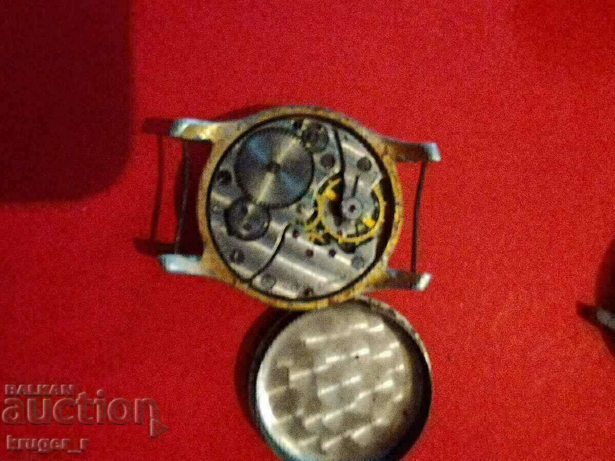 Ceas IARNA. - 5 Ceas IARNA. - 5