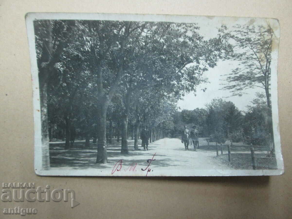 ΠΑΛΙΑ ΦΩΤΟΓΡΑΦΙΑ - ΘΑΛΑΣΣΙΟΣ ΚΗΠΟΣ ΒΑΡΝΑ με τιμή 10.00 BGN | € 5.11 ΠΑΛΙΑ ΦΩΤΟΓΡΑΦΙΑ - ΘΑΛΑΣΣΙΟΣ ΚΗΠΟΣ ΒΑΡΝΑ με τιμή 10.00 BGN | € 5.11